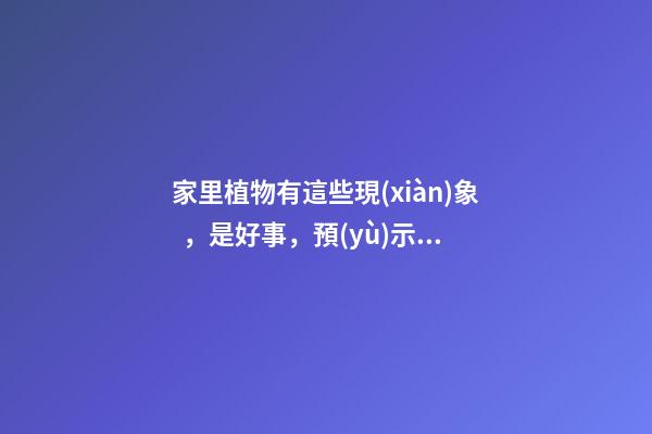 家里植物有這些現(xiàn)象，是好事，預(yù)示你家要發(fā)大財了！
